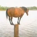 Удалено