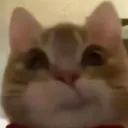 skavi's Discord