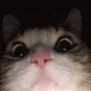 Mafingo_ YT