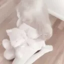 𝘣𝘢𝘣𝘺𝙙𝙤𝙡𝙡𓂃