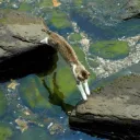 𓍯𓂃 ࣭ beyond ◟ social ࣭ ◟ decor ࣭ ◟ gw ࣭