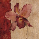 echo Discord server icon