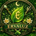 Guild - Ervaluz Discord Server Icon