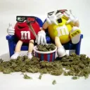 OG GROWER COMMUNITY