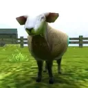Crazy Cattle 3D 🐑's icon