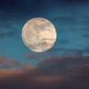 Moonlight/Midnight Pack [Wolfquest]