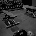 Évolution Discord server icon