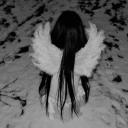 🪽　˖   ۫halo & ash Discord server icon