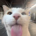 Discovery icon for GET RDY FOR SUMMER GNG | roblox • niche • vc • gaming • gallery Discord server