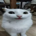 nathan's roblox community Discord Server Icon