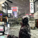 Discovery icon for chatroom | gallery • niche • vc • gaming • roblox • grow a garden • steal a brainrot Discord server