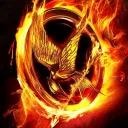 Mockingjay