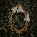 Mosslight Discord server icon