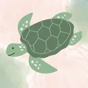 the shell🌸✨