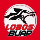 Lobos Buap LPMX