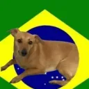 🇧🇷 Projeto Vira-Lata