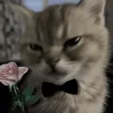 The Boys Discord Server Icon