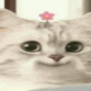 arumi Discord server icon