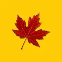Real Estate Canada