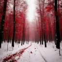 Dominion Discord server icon