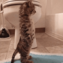 Discovery icon for Otro Server Sin Sentido Alguno 🚮 Discord server