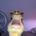 duck1zz basement