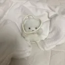 /chocolate