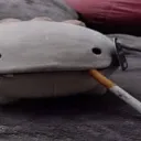 deepgpt