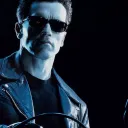 The Terminators Domain