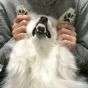 なんでもするところ