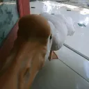 °❀⋆.ೃ࿔*:ƙׁׅꪱׁׁׁׅׅɑׁׅɑׁׅ_ɑׁׅꭈׁׅtׁׅׅ꯱_ժׁׅ݊ꪱׁׁׁׅׅ꯱ᝯׁ֒ᨵׁׅׅꭈׁׅժׁׅ݊･°❀⋆.ೃ࿔*:･