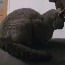 Fuherland Empire (hehe) Discord server icon