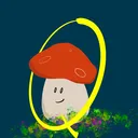 q_moo | forest floor