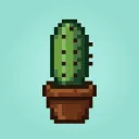 Cactus Studios