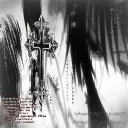 Server icon for ✩⁺₊✩☽⋆𝖐𝖎𝖟𝖟𝖎𝖊𝖘⋆☾✩⁺₊✩