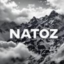 La natoz team    Discord Server Icon