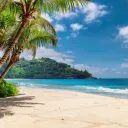 Asian Nudist Network's icon