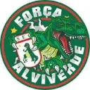FORÇA ALVIVERDE | RBLX