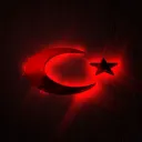 Rex #Kuruluş