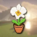 Orchid Org