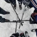 The Rink