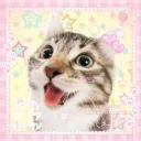 >^. .^< Kitty cafe ˚˖𓍢ִ໋❀