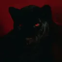 𝐅𝐑𝐄𝐀𝐇