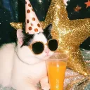 ˚₊‧꒰ა 𝚂𝚠𝚎𝚎𝚝𝙷𝚎𝚊𝚛𝚝𝚜 18+໒꒱ ‧₊˚ discord icon