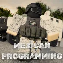 Mexican Programming Industry