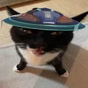 咪嚕ㄉ狗窩^ ̳- ‧̫ • ̳^ฅ