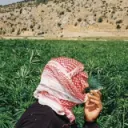 Red Scare MENA