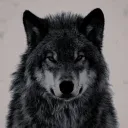 گــورگــەکــان 🐺