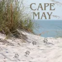 Cape May discord icon