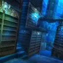 The Library